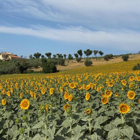 Appartamento Girasole San Marcello  Esterno foto