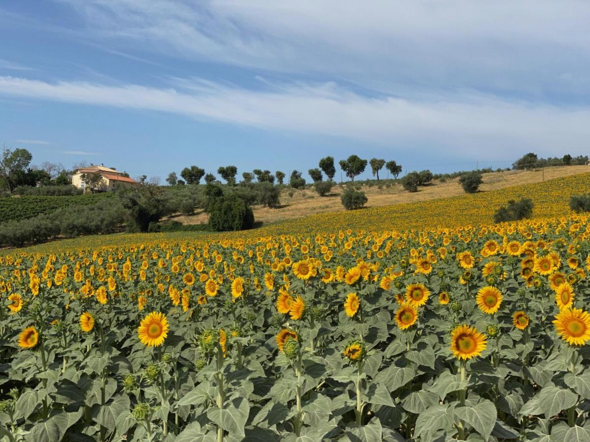 Appartamento Girasole San Marcello  Esterno foto