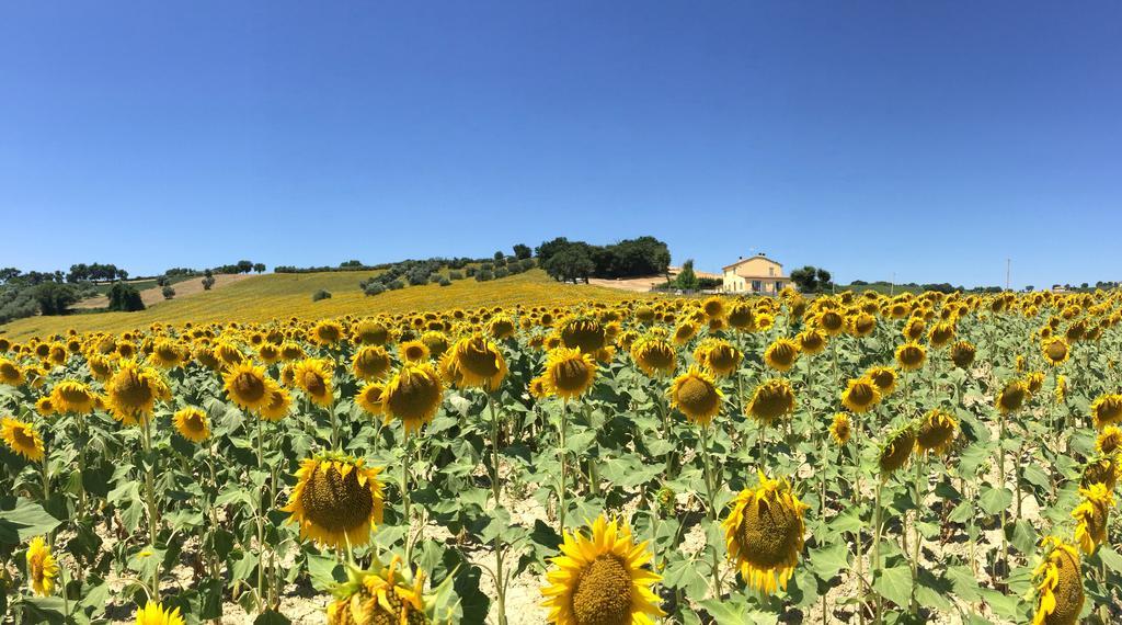 Appartamento Girasole San Marcello  Camera foto